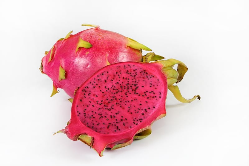 Dragon Fruit Cactus