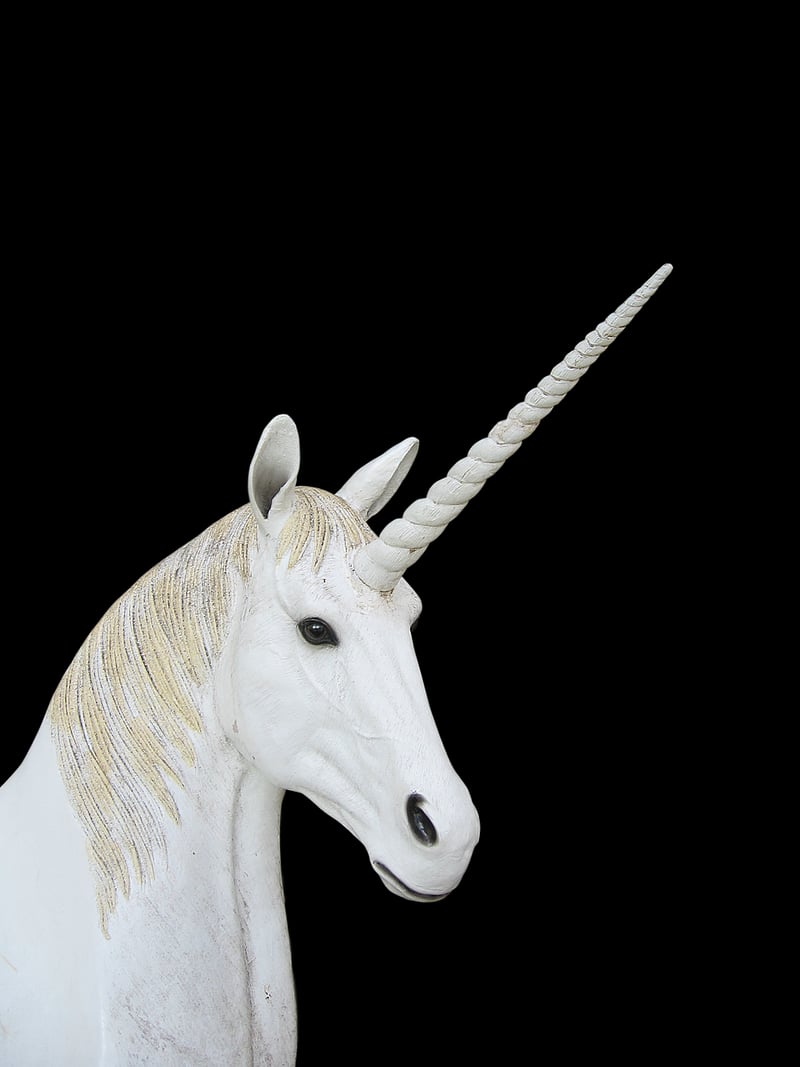 Unicorn Garden